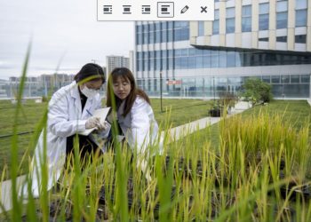 如何让小种子迸发大能量？习近平说：自主可控、自立自强