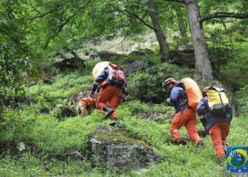 13人苍山失联：为寻二战失事飞机，未经许可进入