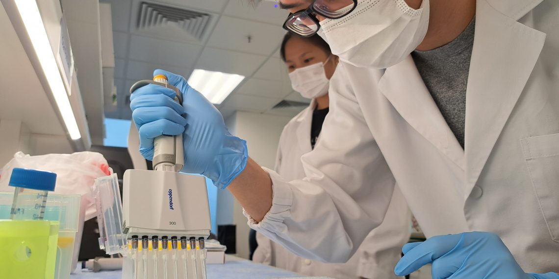 港科大以人工智能预测阿尔兹海默症 一滴血筛患者
