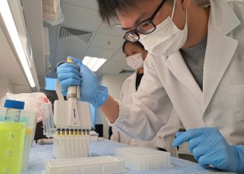 港科大以人工智能预测阿尔兹海默症　一滴血筛患者