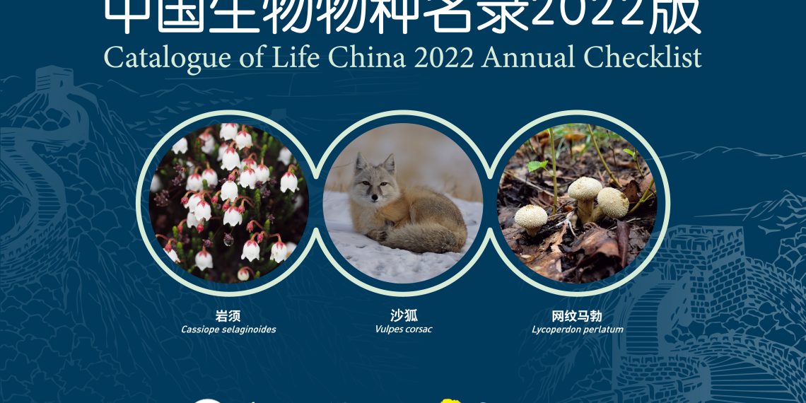 2021年中国新发表脊椎动物95种昆虫新分类单元1633个