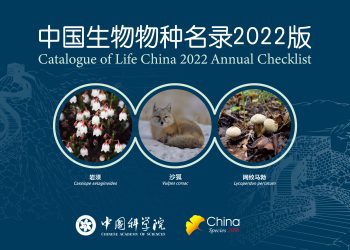2021年中国新发表脊椎动物95种昆虫新分类单元1633个