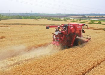 中国在国际市场囤积粮食？ 外交部：中国没有必要