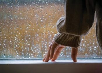 新西兰“金丝带”第一届少数族裔青少年音乐节7月举行 现在报名中