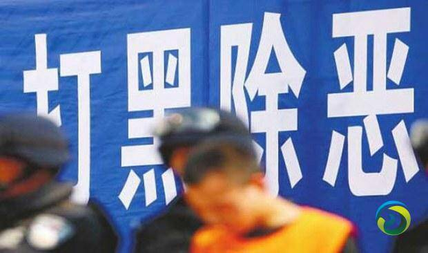 中央政法委秘书长陈一新：常态化扫黑除恶要坚持打早打小、露头就打