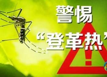 多国报告登革热疫情，海关总署加强检疫查验