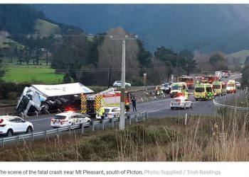 新西兰致命车祸！皮克顿附近卡车和车辆相撞7人死亡包括1名婴儿！