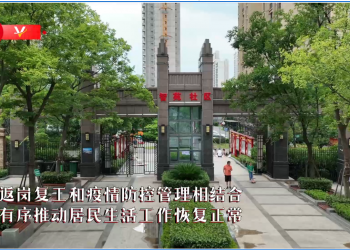 习近平湖北行丨走进武汉市东湖高新区智苑社区（+视频）