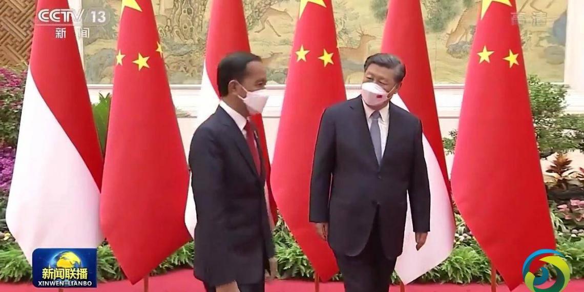 视频丨习近平同印度尼西亚总统佐科会谈