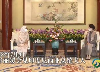 彭麗媛會見印尼總統夫人伊莉亞娜（+视频）