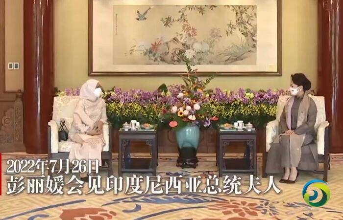 彭麗媛會見印尼總統夫人伊莉亞娜(+视频)