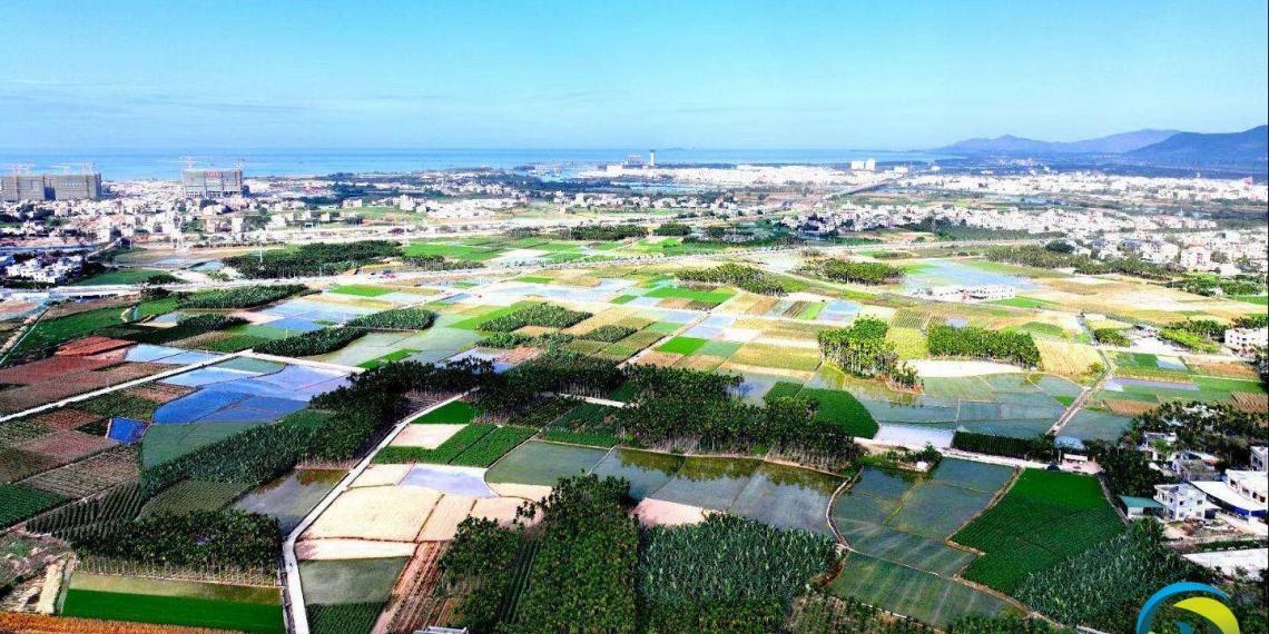 基因编辑创新利用重点实验室+国际育种中心落地三亚
