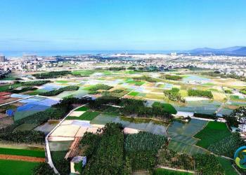 基因编辑创新利用重点实验室+国际育种中心落地三亚