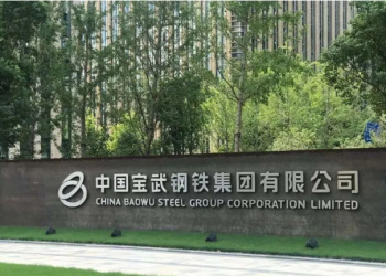 中国5家央企转为国有资本投资公司　国务院国资委回应