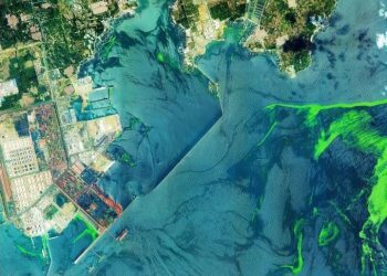 卫星直击浒苔侵袭青岛附近海域（+长图）