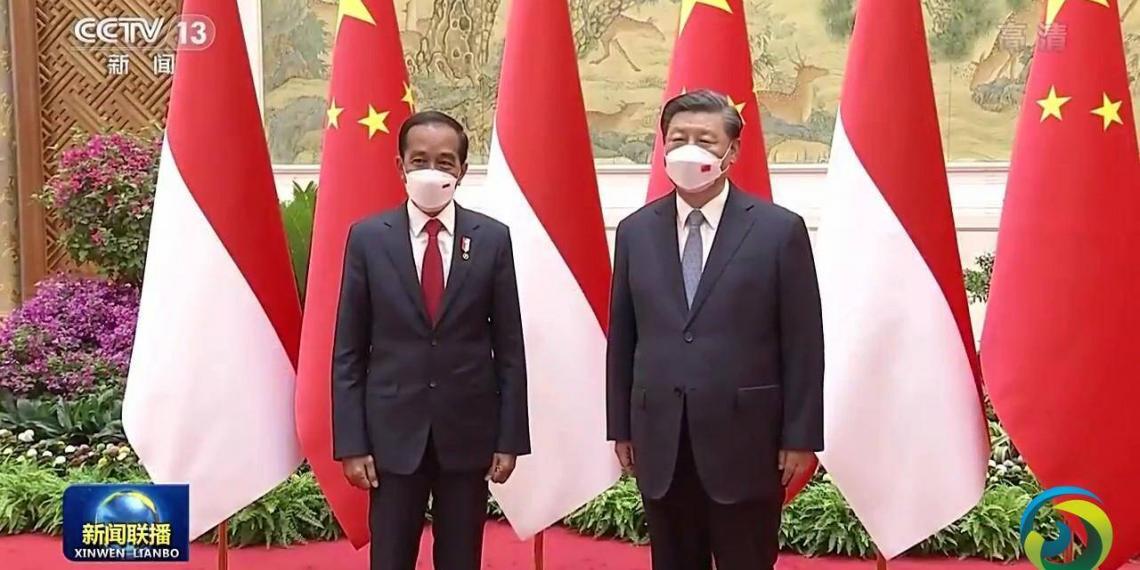 视频丨习近平同印度尼西亚总统佐科会谈
