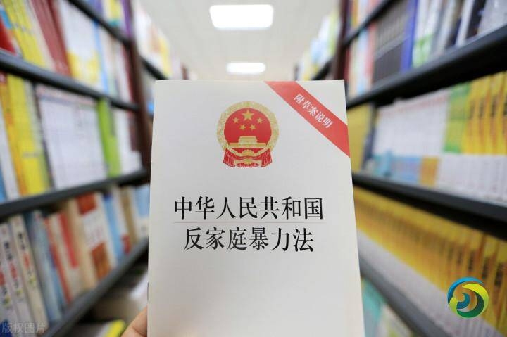 中国法院作出人身安全保护令逾万份 新规明确冻饿、骚扰等均属家暴