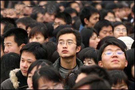从摩擦性失业到移民式爱国,中国文化被玩残