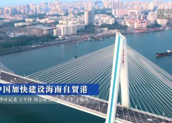 中国加快建设海南自贸港（视频）