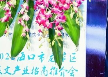 海口市龙华区举办旅文产业项目推介会