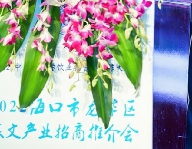 海口市龙华区举办旅文产业项目推介会