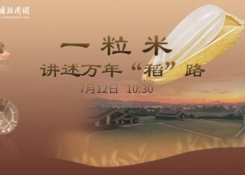 一粒碳化稻米讲述万年“稻”路——直播室带您一探究竟！