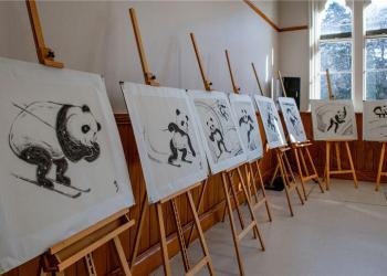 “冰雪艺缘”巡展新西兰 “冬奥熊猫”滑进南岛基督城