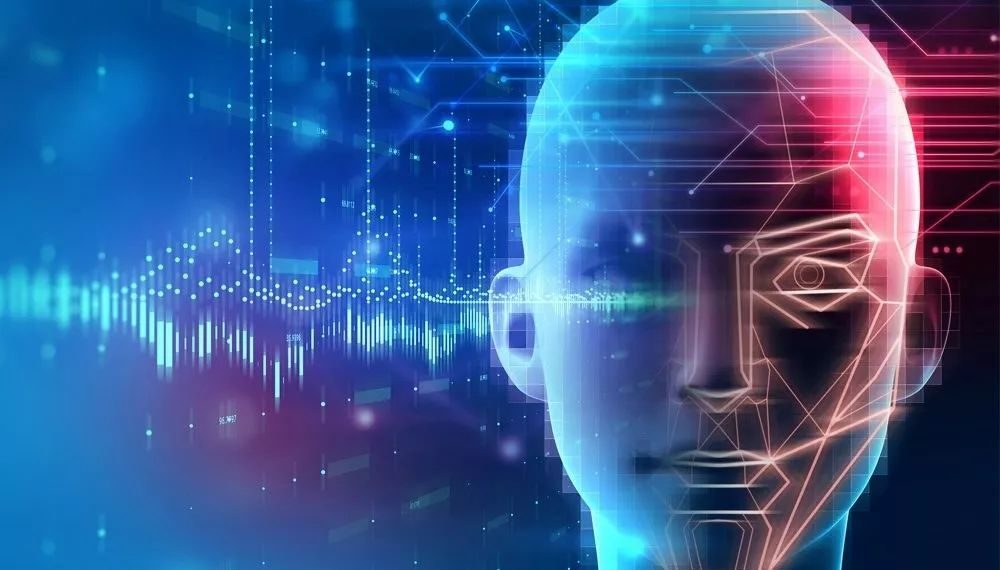 中国科学家揭示发育早期光感知对成年脑高级认知能力的影响