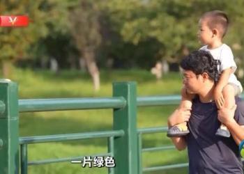 习近平辽宁行丨城在林中 人在画中（视频）