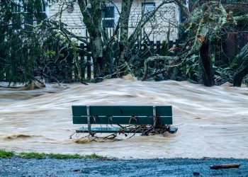 新西兰：纳尔逊洪水后需漫长时间恢复；南岛仍有大雨警告（组图）
