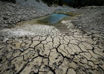 欧洲或遭遇500年来最严重干旱 英国多地进入干旱状态