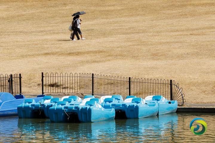 英国多地干旱 专家警告或影响来年农业生产（+视频）