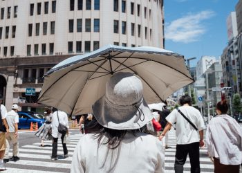 日本梅毒感染人数激增