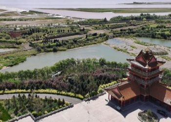 （视·图）走进宁夏青铜峡——葡萄美酒馥香，黄河新颜安澜