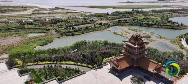 （视·图）走进宁夏青铜峡——葡萄美酒馥香，黄河新颜安澜