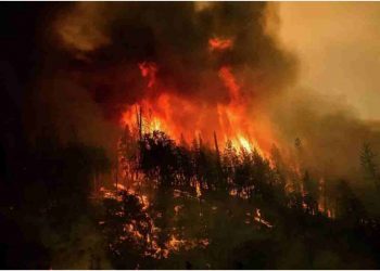 美加州今年以来最大山火蔓延数千人疏散