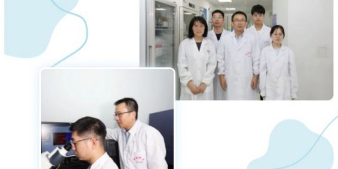 中国科大团队发现肿瘤免疫治疗新潜在靶点