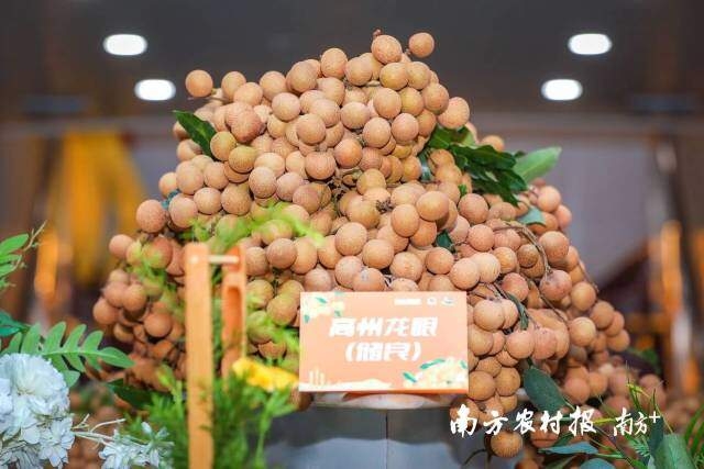 珠水见证,满“眼”甜蜜!高州龙眼七夕告白大湾区