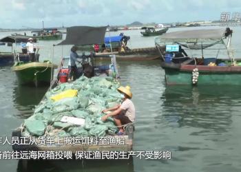 海南保障岛内外交通运输畅通 有序恢复生产生活