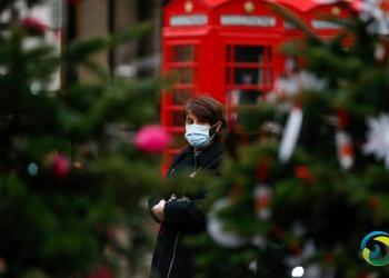 担心涨价　英国消费者提前囤圣诞树