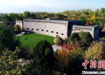 海外华文媒体聚焦宁夏 探寻“塞上江南”的“紫色梦想”