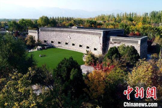 海外华文媒体聚焦宁夏 探寻“塞上江南”的“紫色梦想”