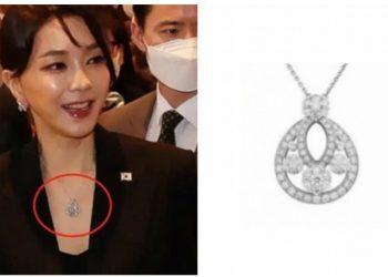 韩总统夫人戴昂贵首饰没申报？总统府回应