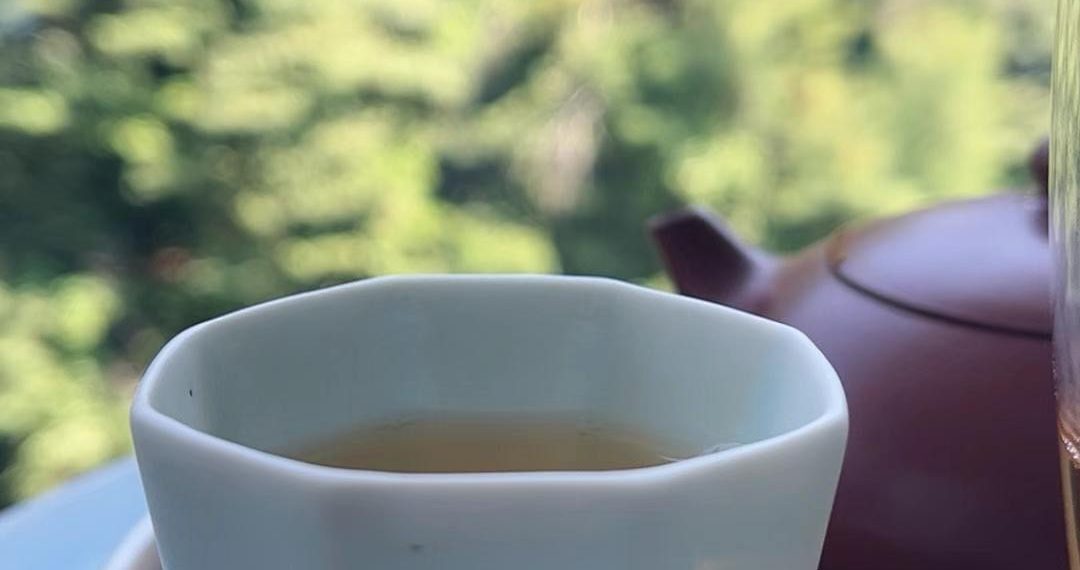 說說「臨滄的茶」