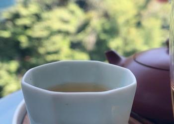 說說「臨滄的茶」