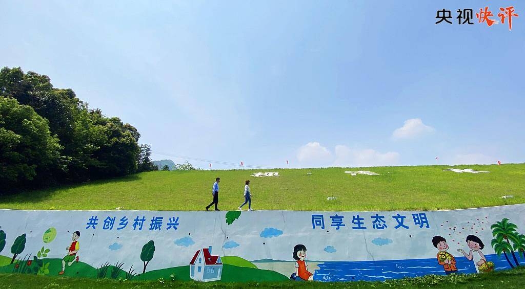 央视评论员丨全面推进乡村振兴 为实现农业农村现代化而不懈奋斗