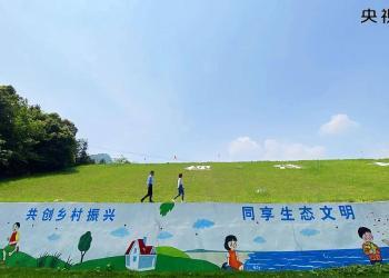 央视评论员丨全面推进乡村振兴 为实现农业农村现代化而不懈奋斗