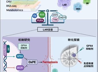 中国专家发现三阴性乳腺癌精准治疗新方向