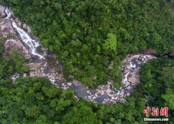 海南热带雨林国家公园：系列体制机制创新取得明显成效