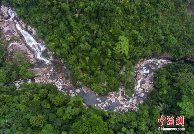 海南热带雨林国家公园:系列体制机制创新取得明显成效